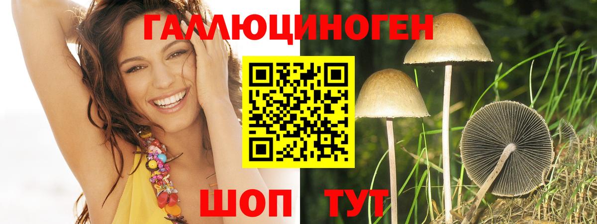 Старая Купавна  Галлюциногенные грибы Psilocybine cubensis  Вход с VPN 
